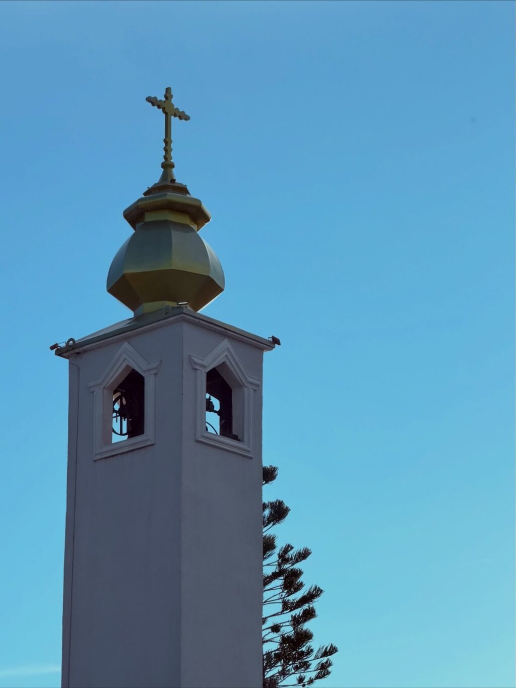 Instagram post from dranataliabazzo. This post is in position 16.