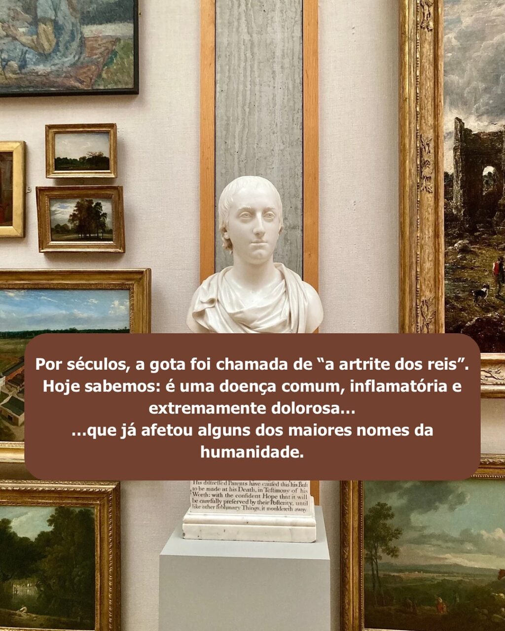 Instagram post from dranataliabazzo. This post is in position 1.