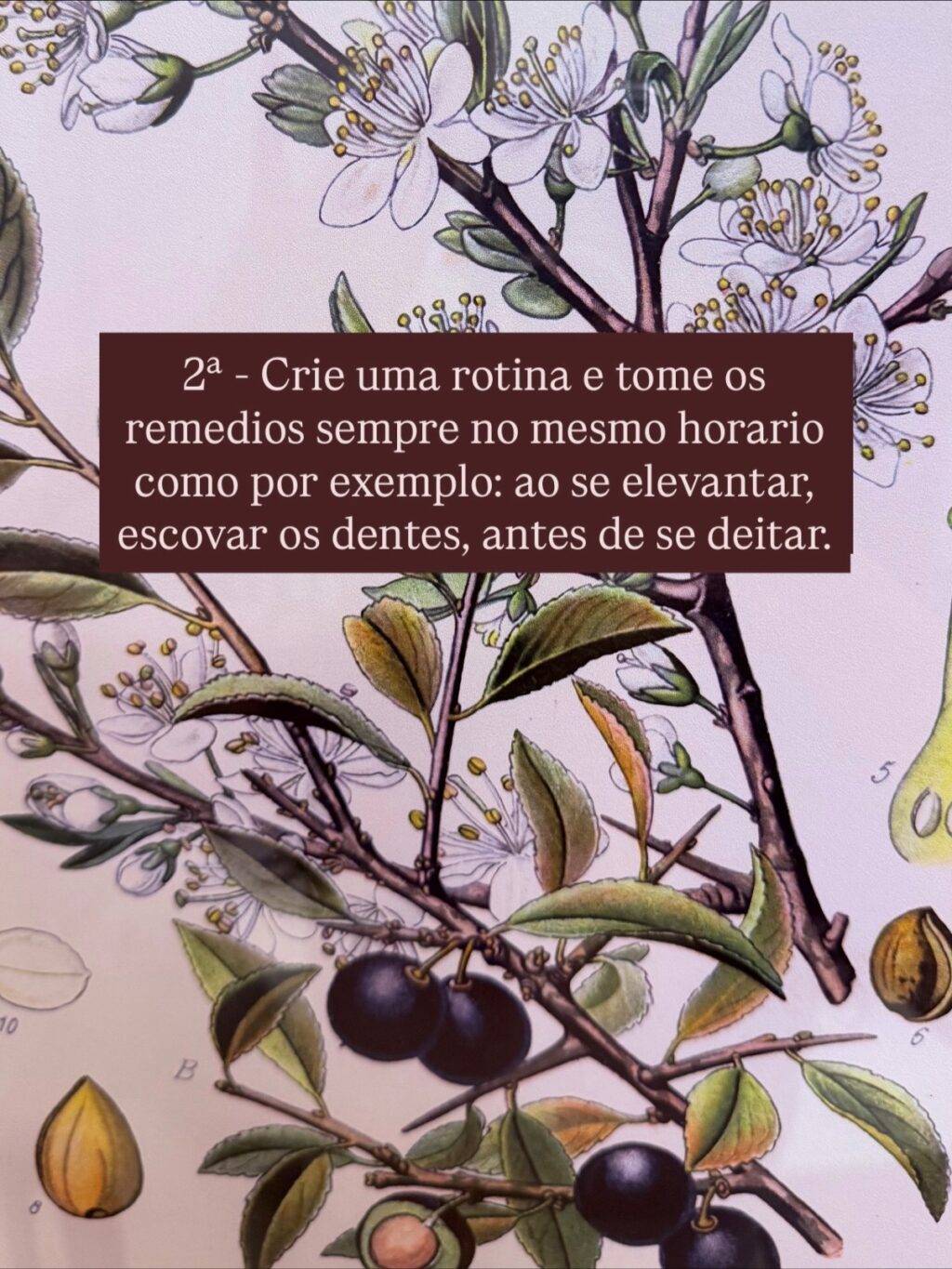 Instagram post from dranataliabazzo. This post is in position 2.