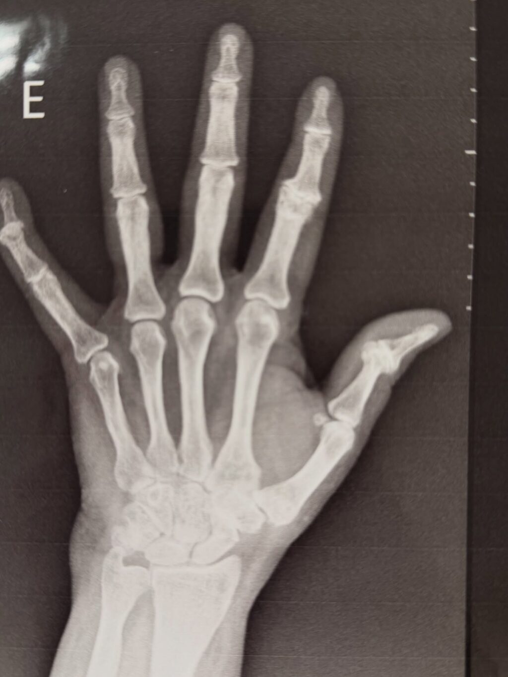 Instagram post from dranataliabazzo. This post is in position 10.