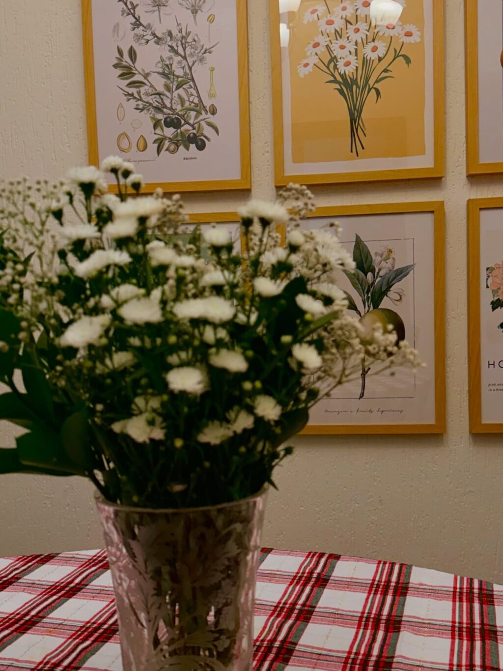 Instagram post from dranataliabazzo. This post is in position 4.