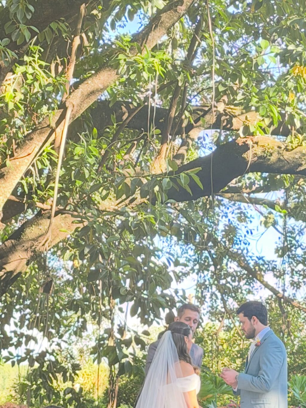 Instagram post from dranataliabazzo. This post is in position 4.