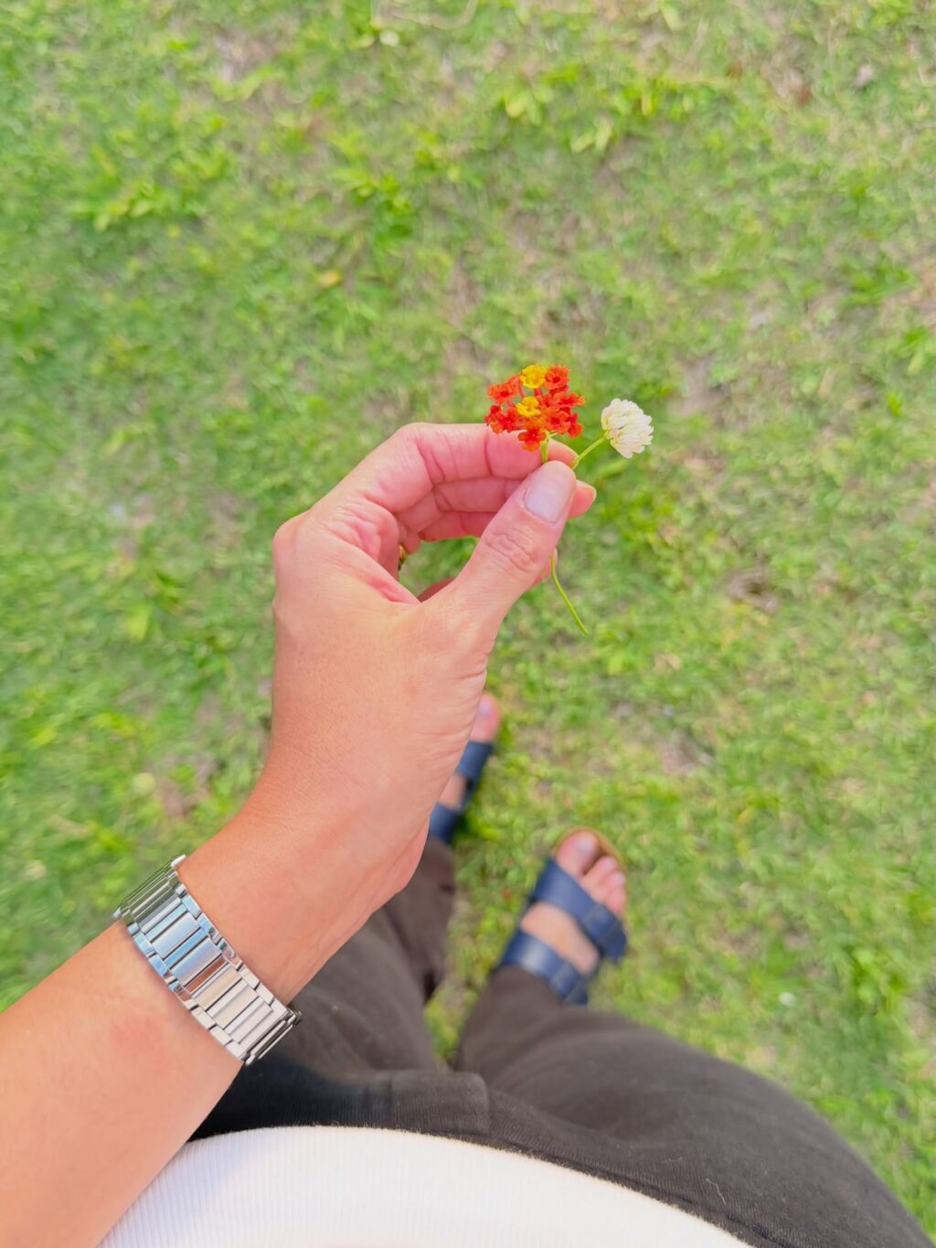 Instagram post from dranataliabazzo. This post is in position 10.