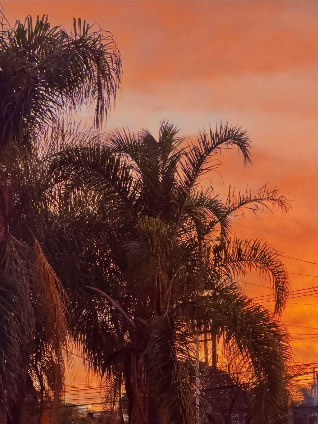 Instagram post from dranataliabazzo. This post is in position 11.