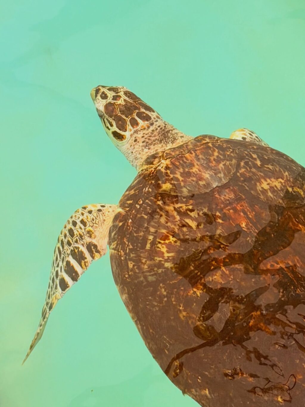 Instagram post from dranataliabazzo. This post is in position 1.