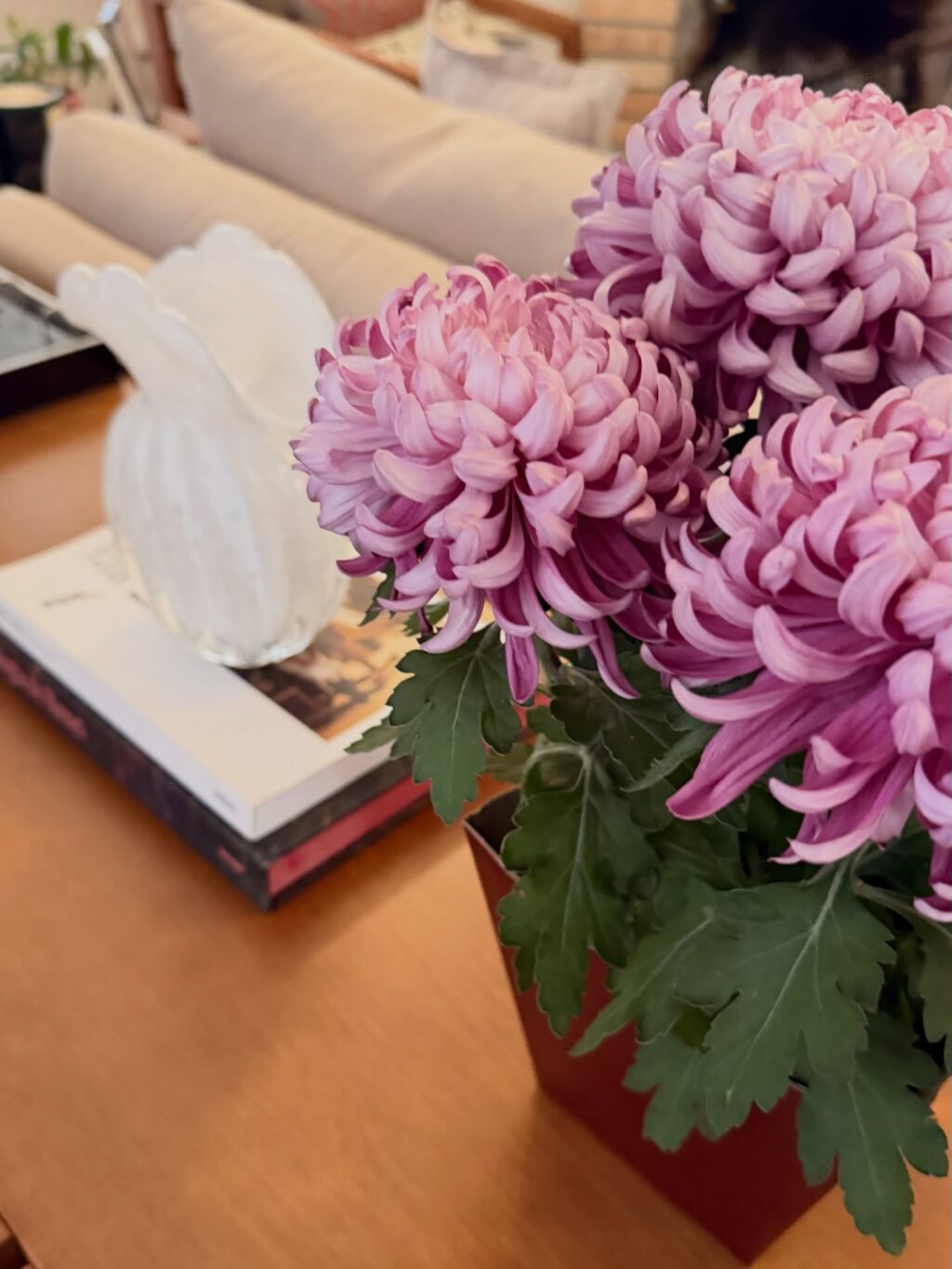 Instagram post from dranataliabazzo. This post is in position 19.