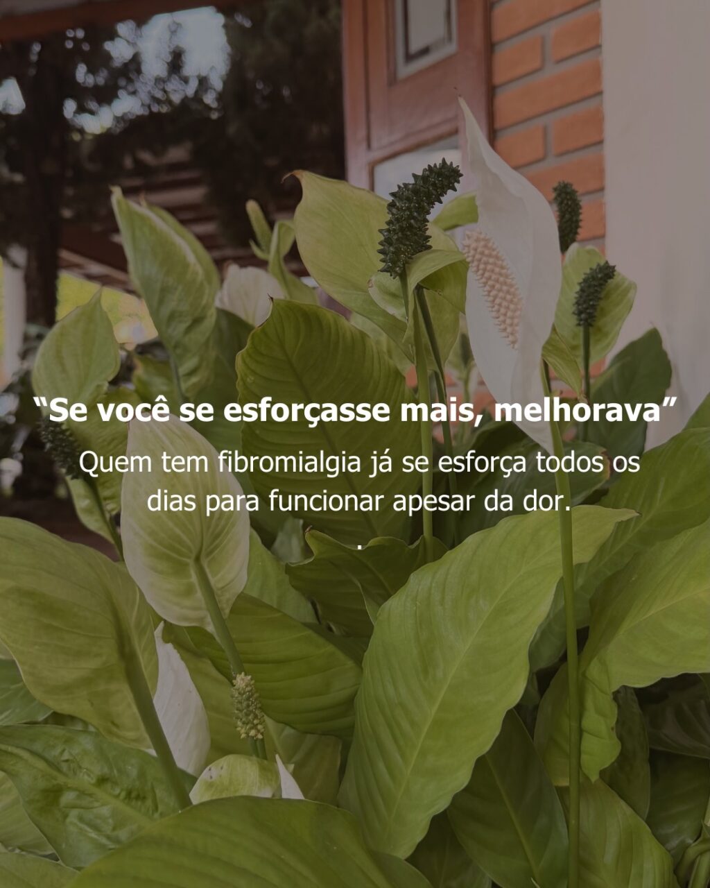 Instagram post from dranataliabazzo. This post is in position 3.