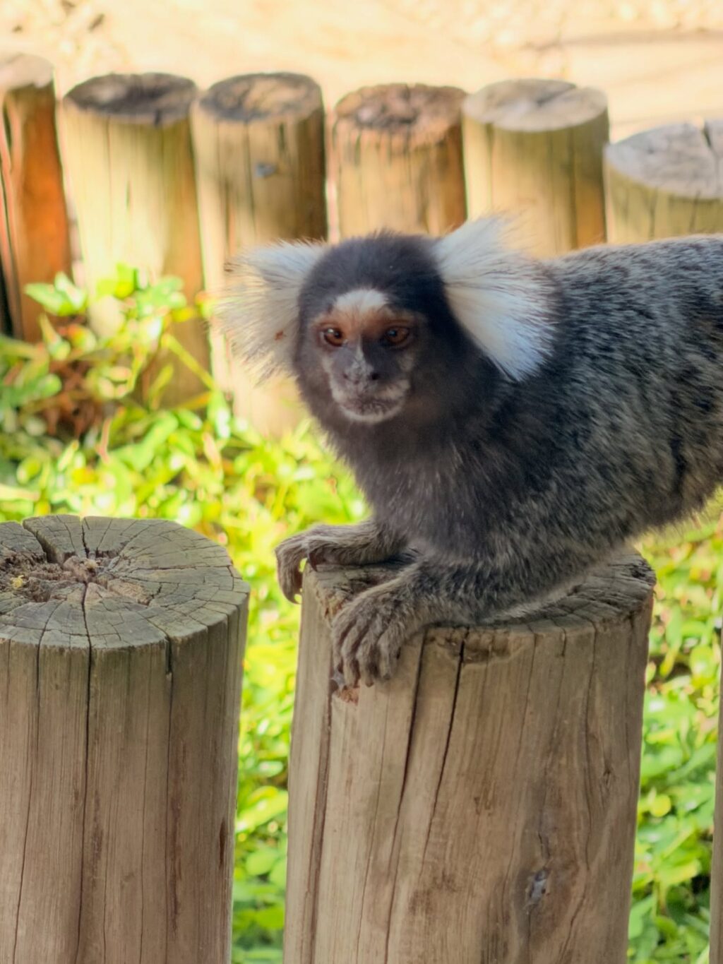 Instagram post from dranataliabazzo. This post is in position 12.