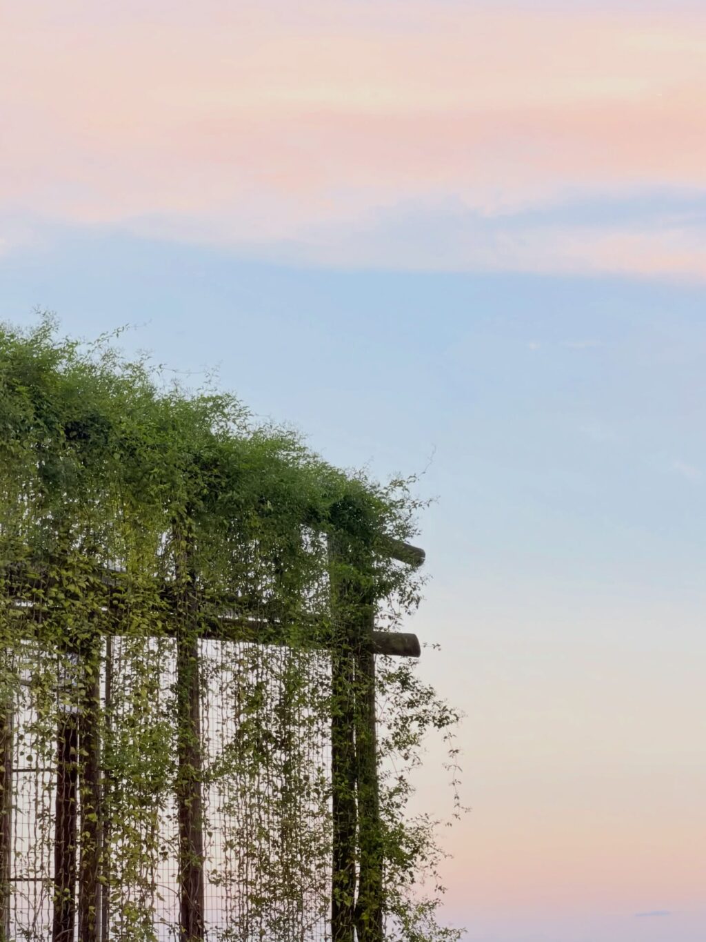 Instagram post from dranataliabazzo. This post is in position 3.