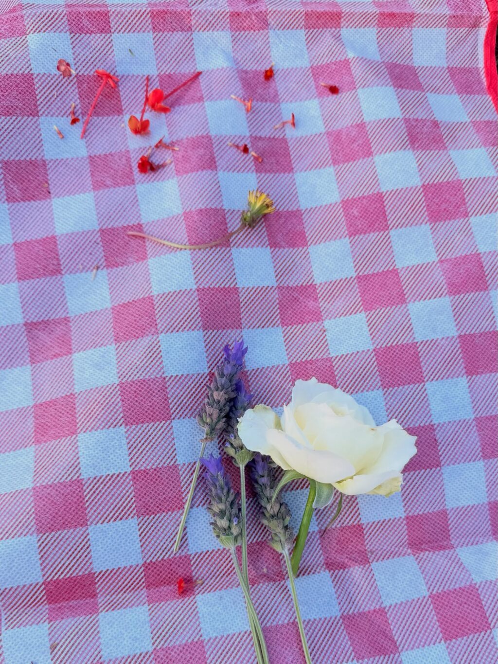 Instagram post from dranataliabazzo. This post is in position 19.