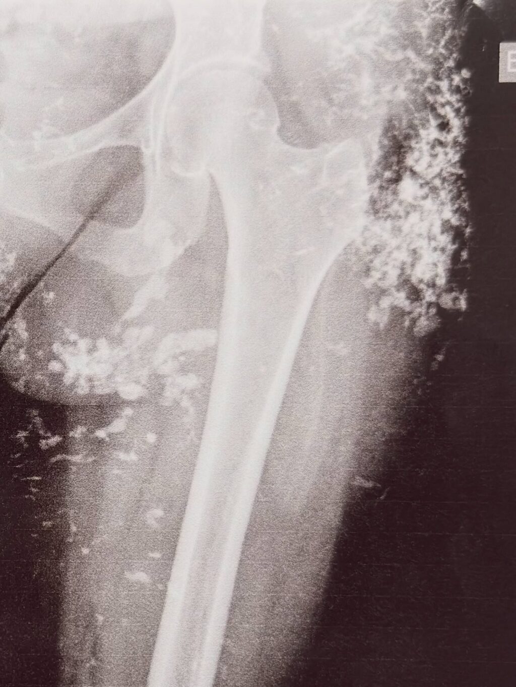 Instagram post from dranataliabazzo. This post is in position 5.