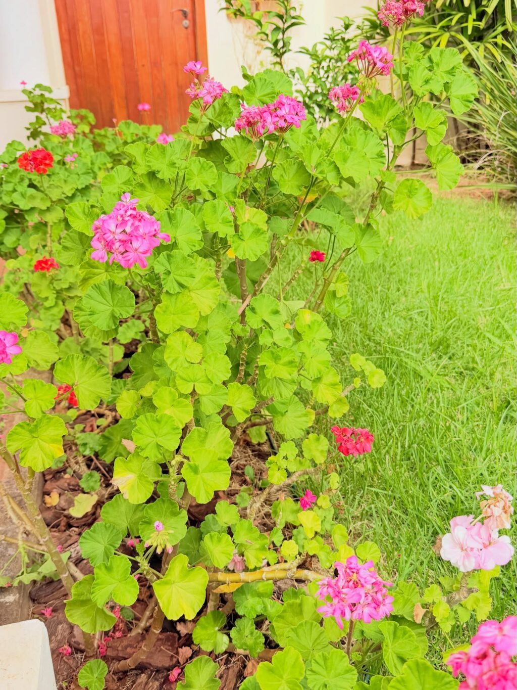 Instagram post from dranataliabazzo. This post is in position 3.