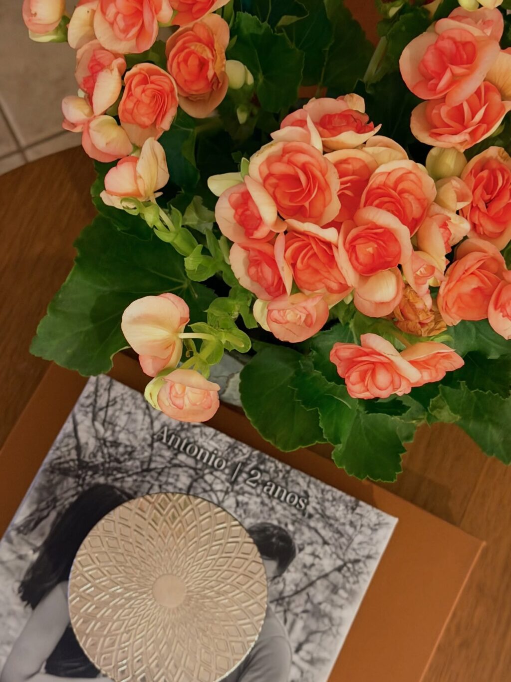 Instagram post from dranataliabazzo. This post is in position 0.