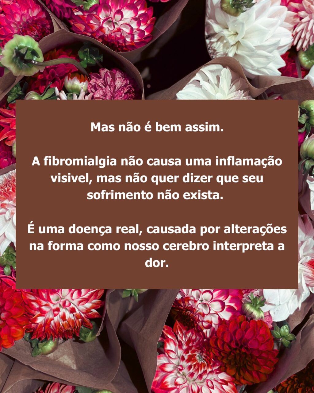 Instagram post from dranataliabazzo. This post is in position 2.