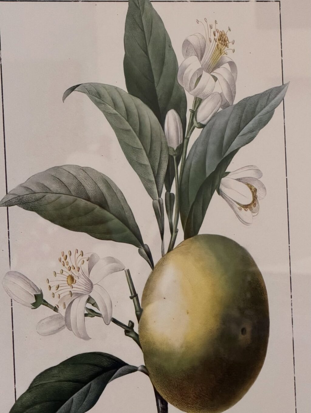 Instagram post from dranataliabazzo. This post is in position 2.