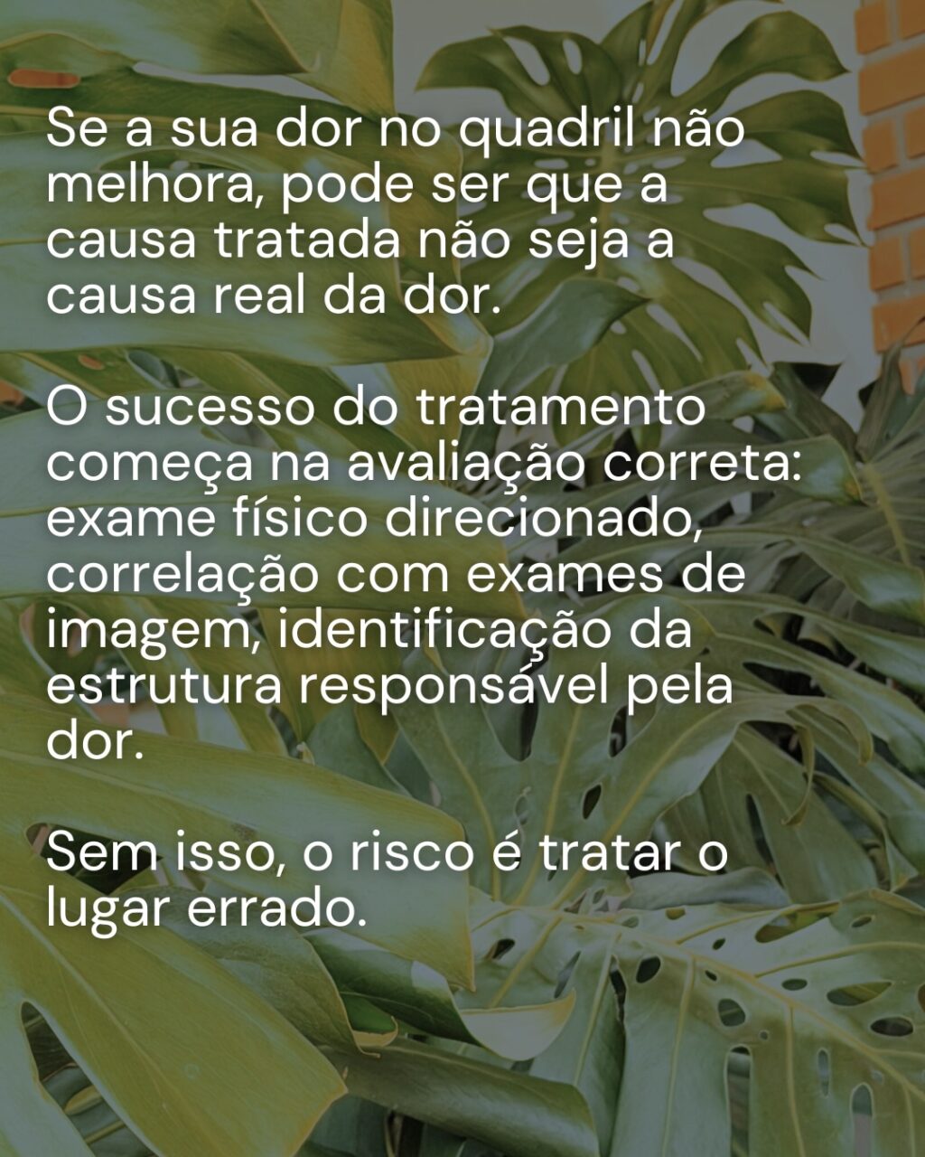 Instagram post from dranataliabazzo. This post is in position 3.