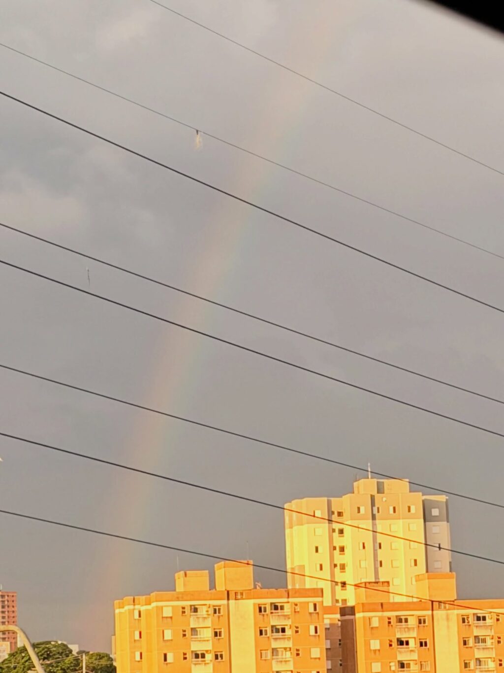 Instagram post from dranataliabazzo. This post is in position 12.