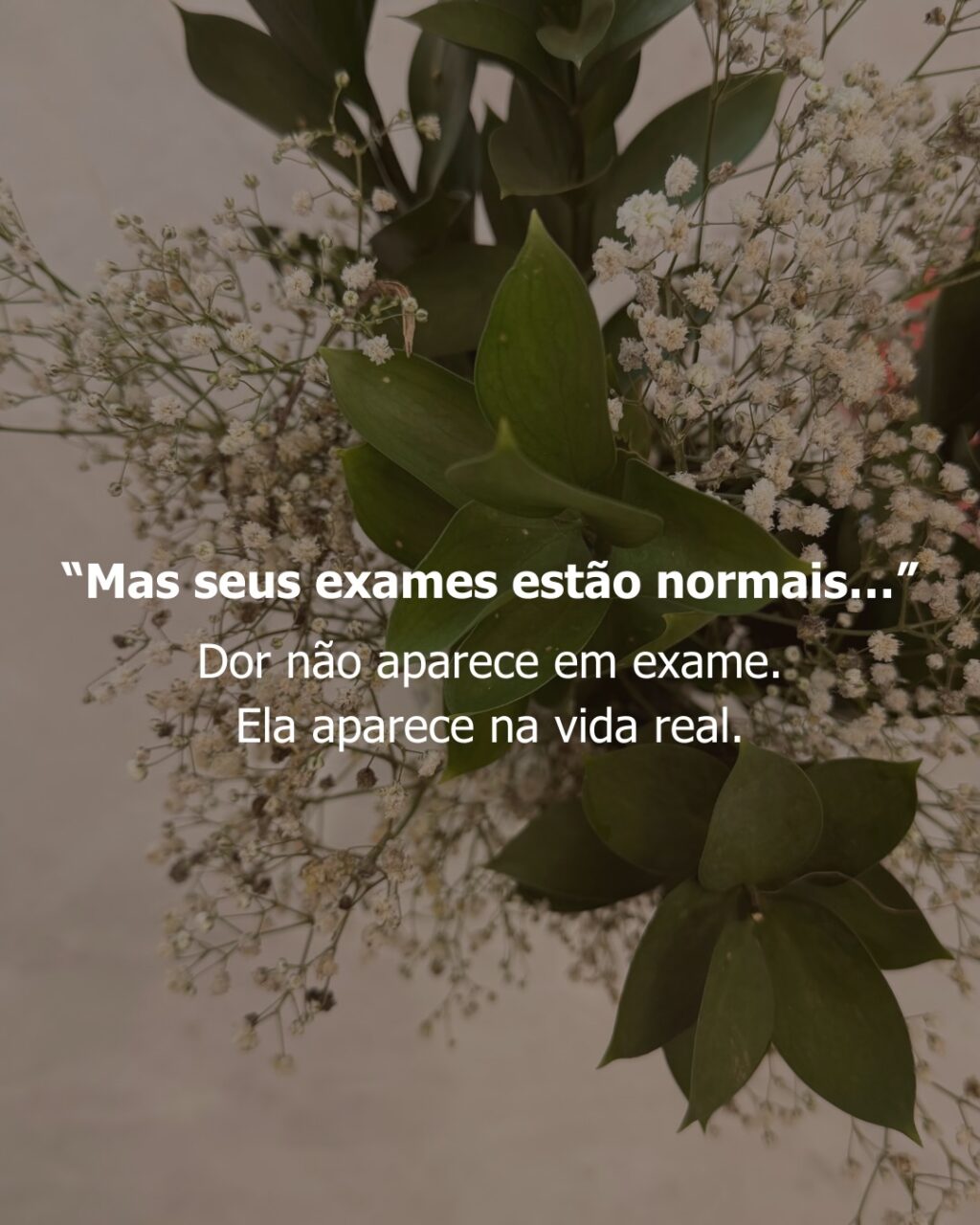 Instagram post from dranataliabazzo. This post is in position 1.