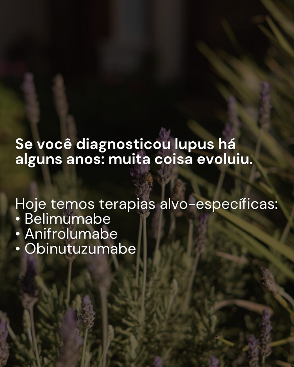 Instagram post from dranataliabazzo. This post is in position 1.