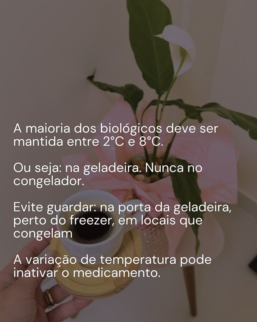 Instagram post from dranataliabazzo. This post is in position 1.