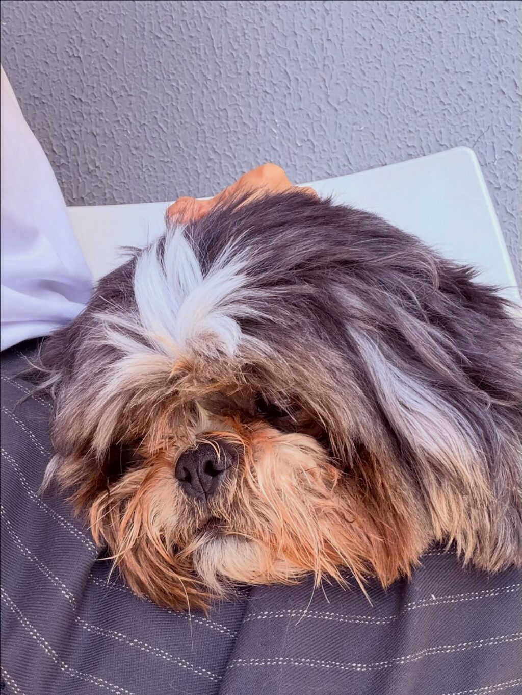 Instagram post from dranataliabazzo. This post is in position 16.