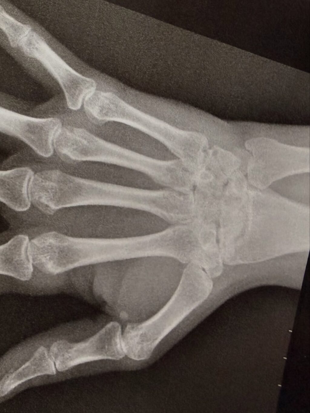 Instagram post from dranataliabazzo. This post is in position 14.