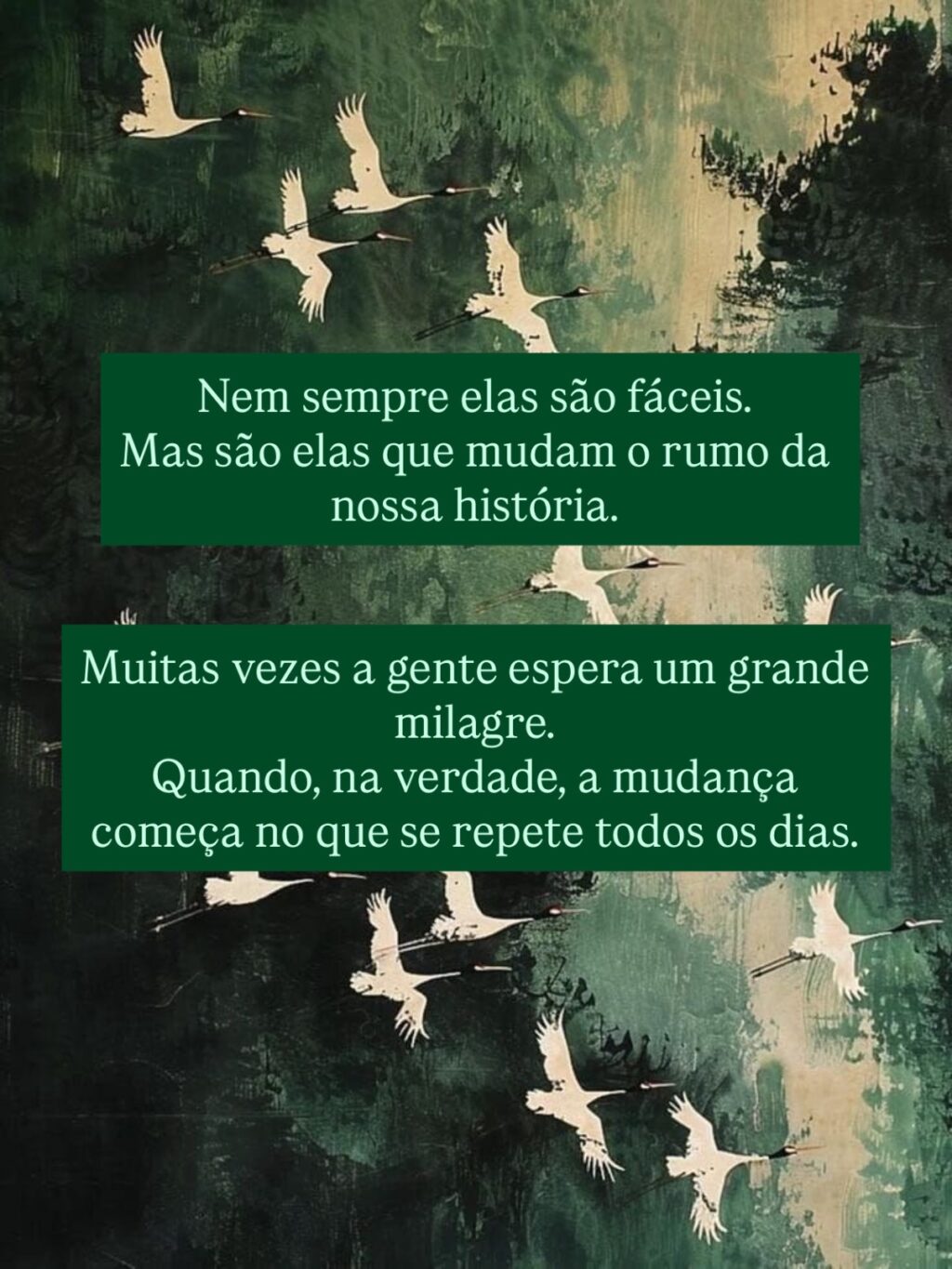 Instagram post from dranataliabazzo. This post is in position 3.