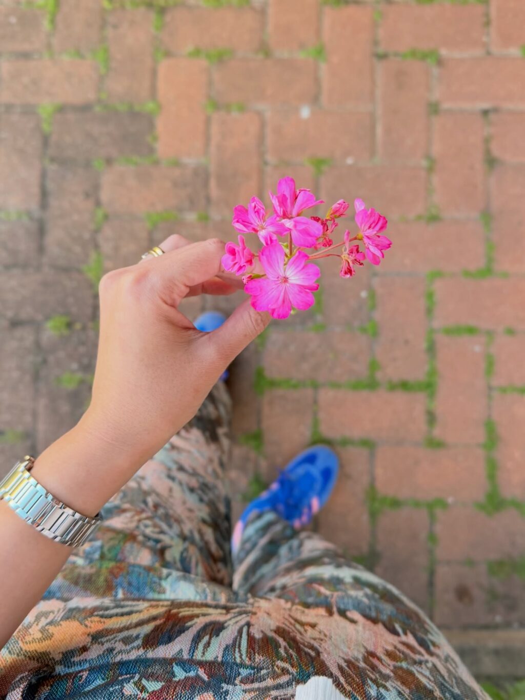 Instagram post from dranataliabazzo. This post is in position 8.