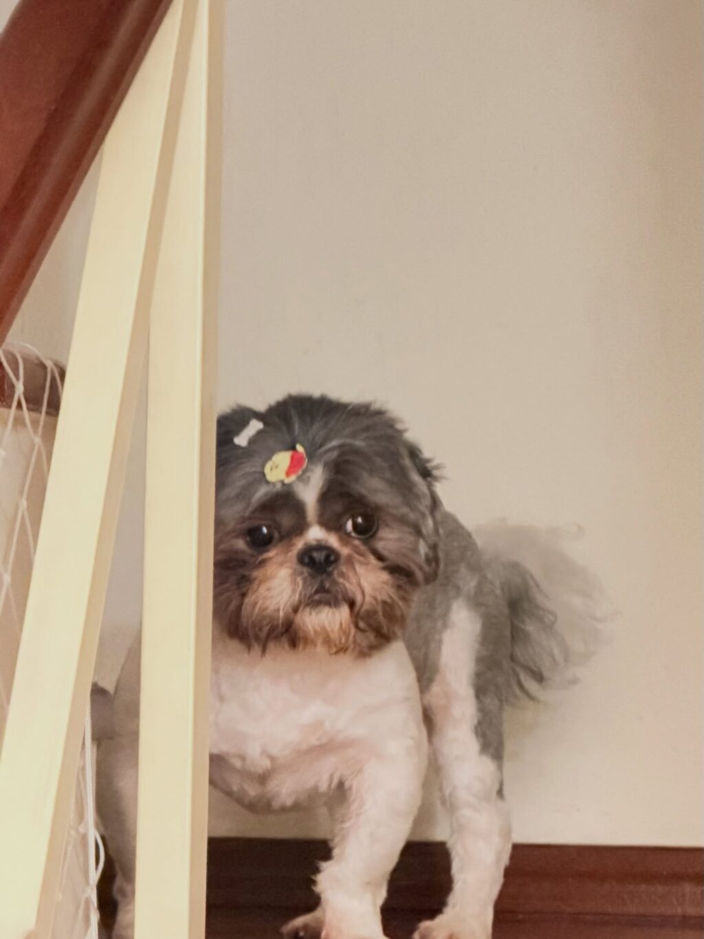 Instagram post from dranataliabazzo. This post is in position 11.