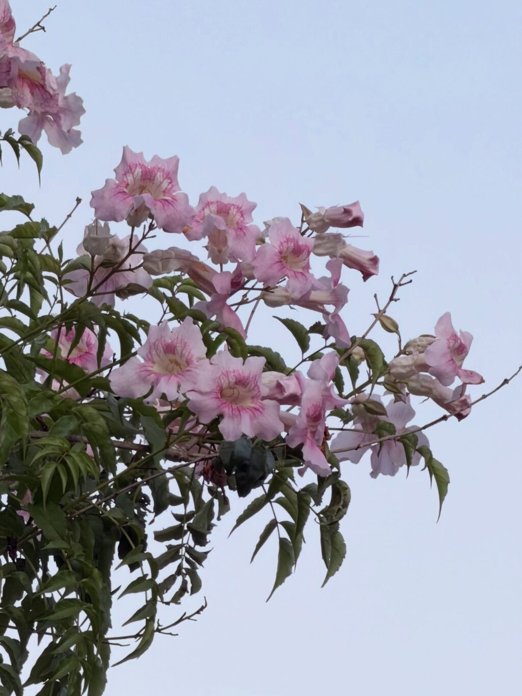 Instagram post from dranataliabazzo. This post is in position 18.