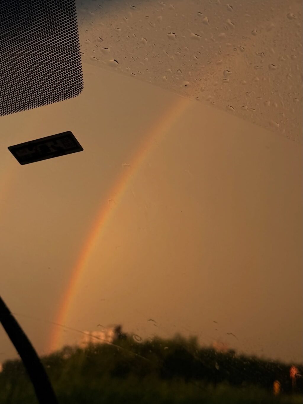 Instagram post from dranataliabazzo. This post is in position 5.