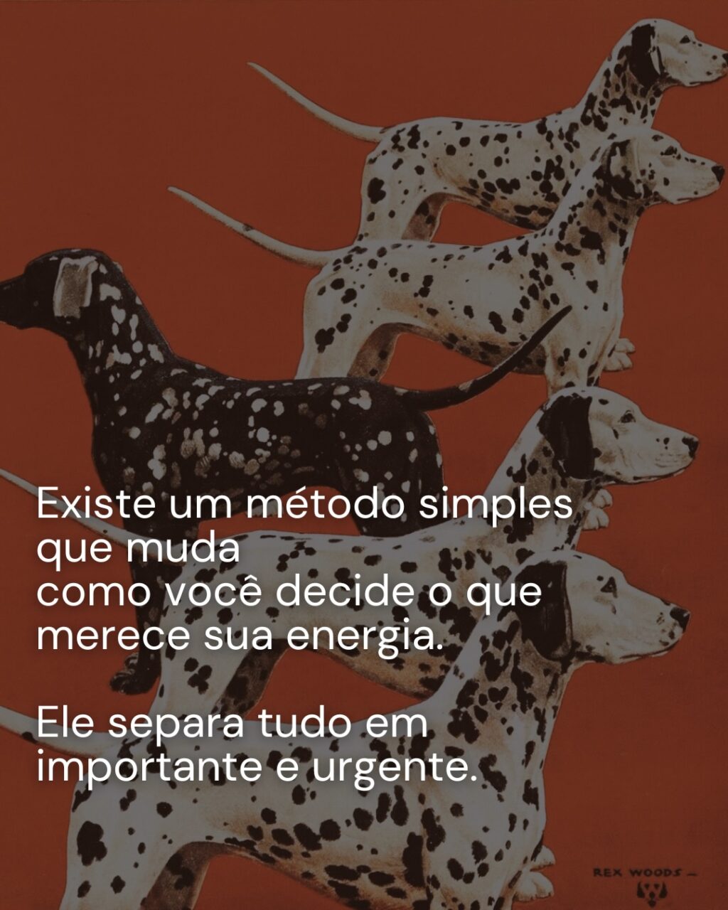 Instagram post from dranataliabazzo. This post is in position 1.