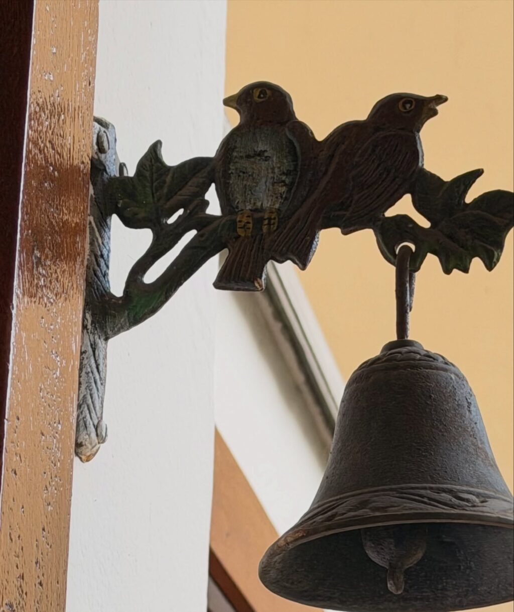 Instagram post from dranataliabazzo. This post is in position 4.