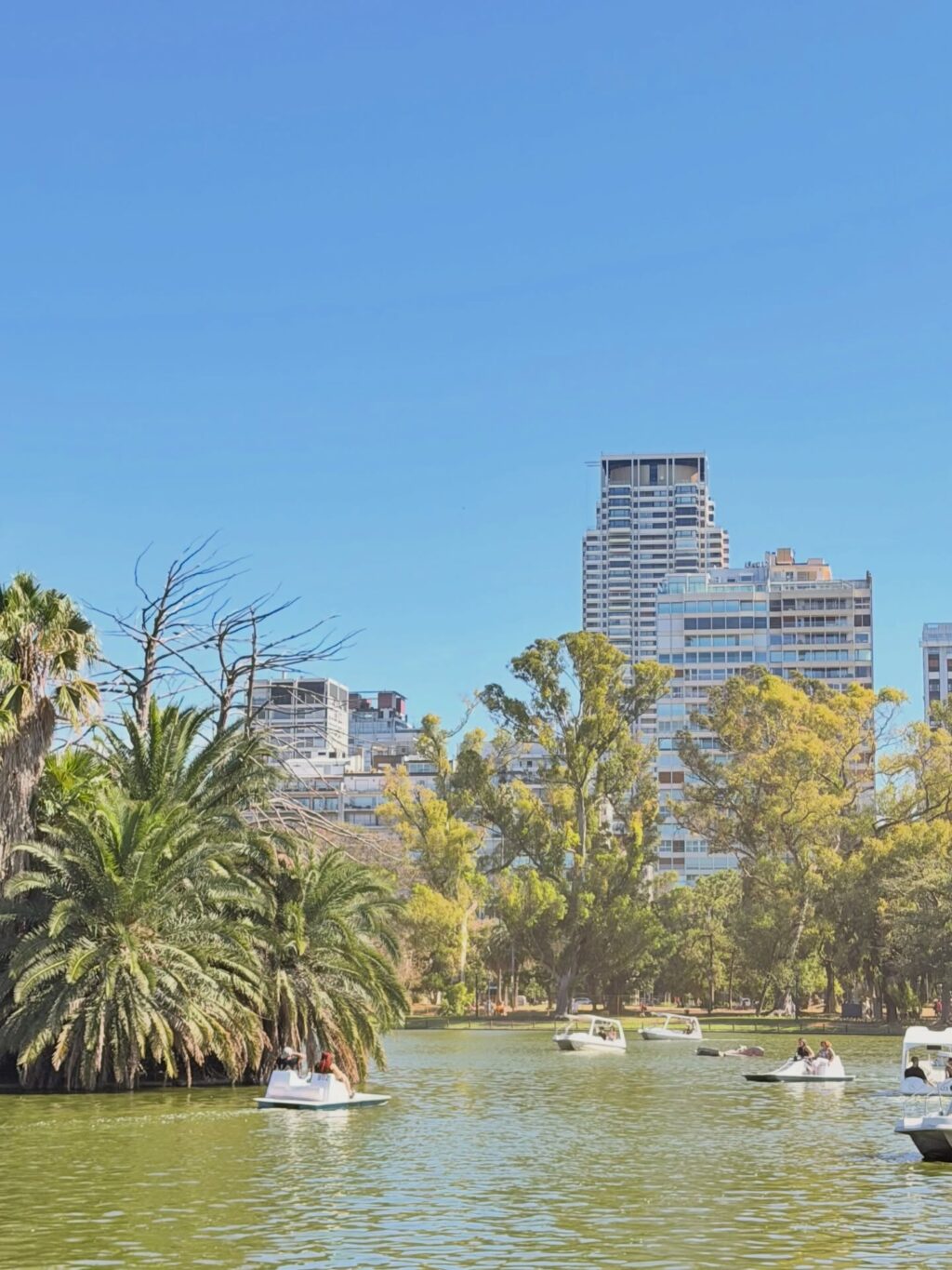 Instagram post from dranataliabazzo. This post is in position 10.